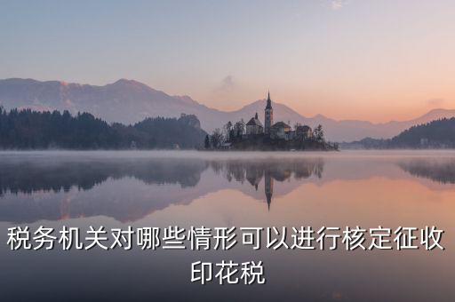 核定印花稅是什么意思，關于印花稅的核定比例