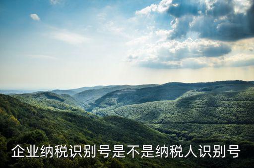 公司納稅識別號是什么，納稅人識別號是什么