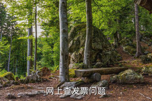 查發(fā)票流向什么意思，網(wǎng)上查發(fā)票問題