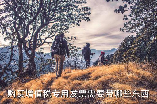稅票專票要帶什么，問(wèn)題去稅務(wù)局購(gòu)買增值稅專用發(fā)票需帶哪些東西