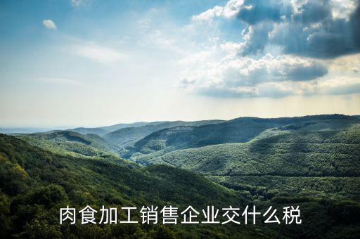 賣肉類交什么地稅，批發(fā)肉類的稅是多少