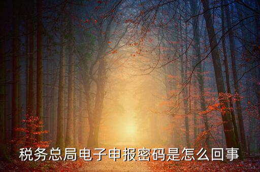 山東國(guó)稅登錄密碼是什么意思，使用過(guò)的帳號(hào)登錄密碼是什么意思