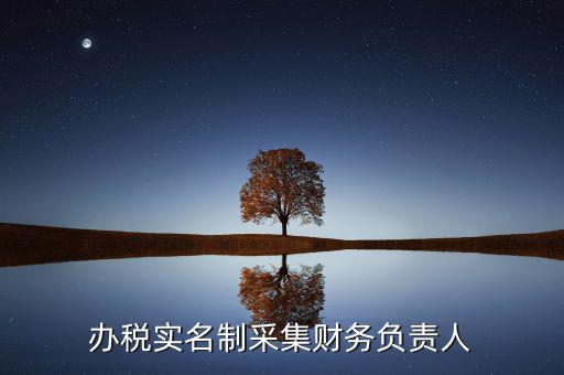 什么是實名辦稅，辦稅實名制采集財務(wù)負責人