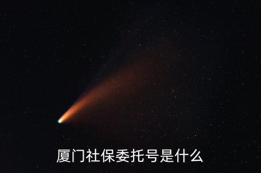 地稅社保委托號是什么，三證合一后去地稅局打社保單子說是與社保局的納稅人識別號不一