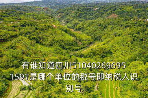 有誰知道四川510402696951591是哪個(gè)單位的稅號即納稅人識別號