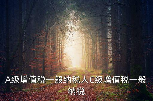 b級(jí)納稅人是什么意思，A級(jí)增值稅一般納稅人C級(jí)增值稅一般納稅