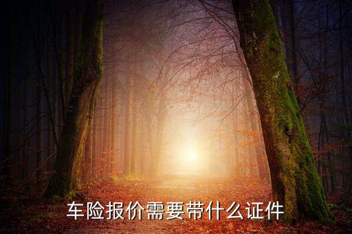 車輛保險(xiǎn)專票需要什么，車險(xiǎn)報(bào)價(jià)需要帶什么證件