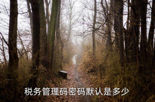 湖北國(guó)稅盤原始密碼是什么意思，湖北地稅網(wǎng)絡(luò)發(fā)票登陸密碼是什么急急急
