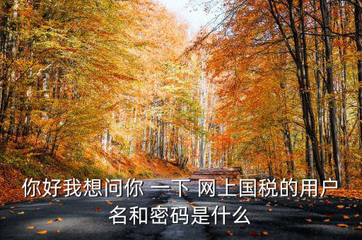 國稅登陸名和密碼是什么意思，國稅第一次網上申報的登陸密碼是什么