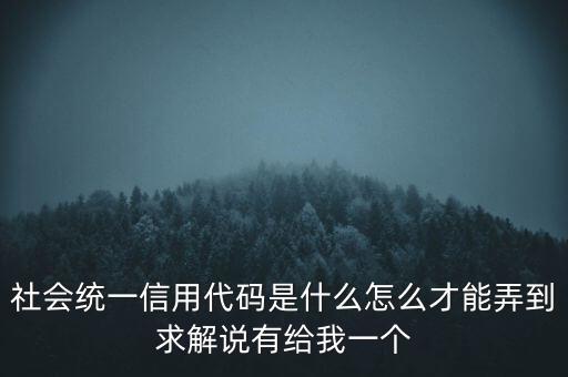 社會統(tǒng)一信用代碼是什么怎么才能弄到求解說有給我一個(gè)