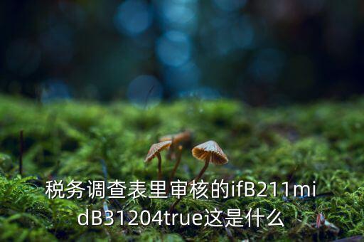 國稅調(diào)查表有什么意義，國稅要求地址普查的目的是什么
