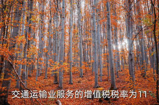 11稅率的服務包括什么，營改增后11個點稅包括哪些內(nèi)容