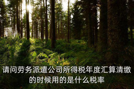 派遣選擇什么稅目，勞務(wù)派遣公司應(yīng)交什么稅種