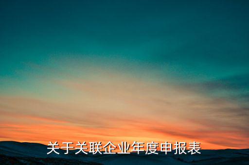 什么是關(guān)聯(lián)申報(bào)表，小規(guī)模納稅人2013年年報(bào)年度關(guān)聯(lián)企業(yè)申報(bào)表怎么填