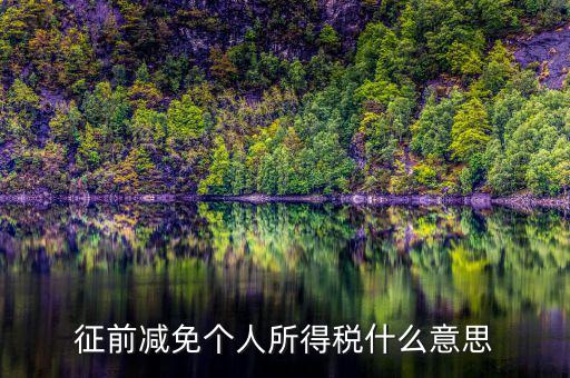 減免所得稅是什么意思，征前減免個人所得稅什么意思