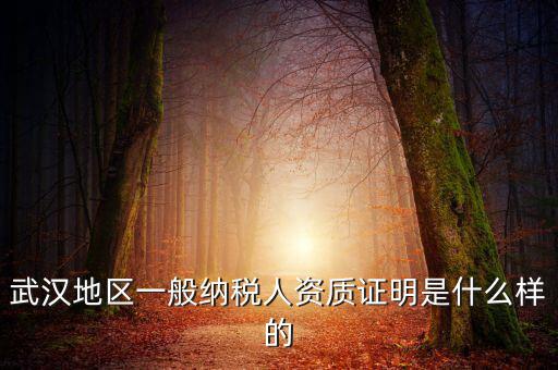納稅資質(zhì)證明是什么意思，什么是稅務(wù)證明