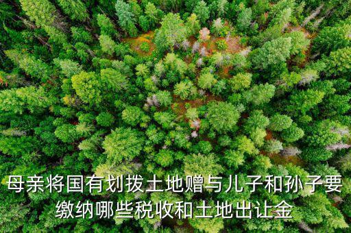 母親將國有劃撥土地贈(zèng)與兒子和孫子要繳納哪些稅收和土地出讓金