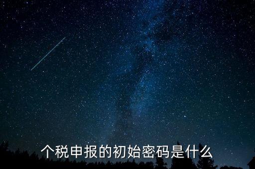 個稅查詢密碼是什么意思，個人所得稅明細申報向稅務機關提交的使用哪個密碼 是幾位