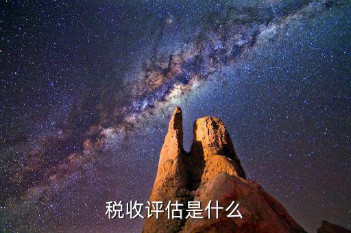 什么叫地稅納稅評估，納稅評估都是評估什么