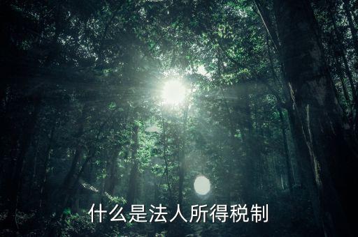什么是法人企業(yè)所得稅，百度如何理解企業(yè)所得稅應(yīng)該稱之為法人所得稅