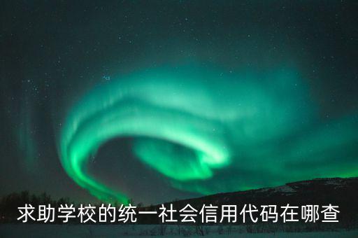 學(xué)校的社會(huì)信用代碼是什么東西，求助學(xué)校的統(tǒng)一社會(huì)信用代碼在哪查