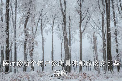 醫(yī)健護(hù)航都交什么稅，醫(yī)療診所個體戶診所具體都應(yīng)該交哪些稅收