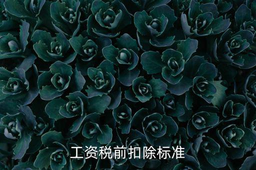 什么是稅前扣除標(biāo)準(zhǔn)，請(qǐng)問差旅費(fèi)稅前扣除標(biāo)準(zhǔn)是什么