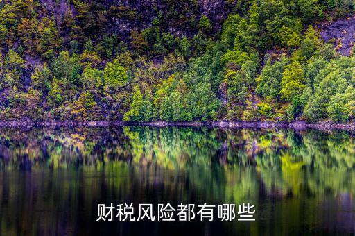 財(cái)稅問(wèn)題有什么，請(qǐng)教財(cái)稅的基礎(chǔ)問(wèn)題謝謝很簡(jiǎn)單的