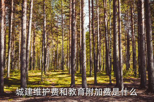 城市維護(hù)費(fèi)是什么，城市建設(shè)維護(hù)費(fèi) 城鄉(xiāng)建設(shè)維護(hù)費(fèi) 兩者區(qū)別