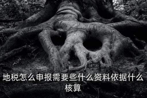 地稅根據(jù)什么申報(bào)，地稅怎么申報(bào)