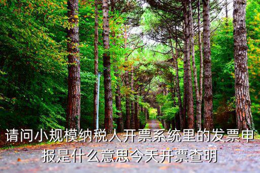 稅票申報是什么意思，納稅申報與申報納稅是一個意思嗎都是代理記賬的業(yè)務(wù)范疇嗎  搜