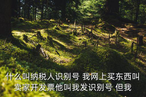 公司納稅識(shí)別號(hào)是什么意思，納稅人識(shí)別碼是什么