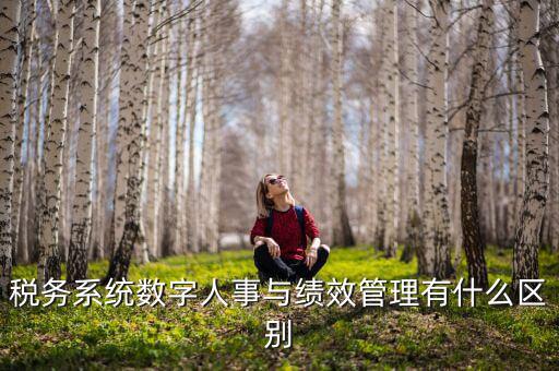 數(shù)字人事評是什么，稅務系統(tǒng)數(shù)字人事與績效管理有什么區(qū)別