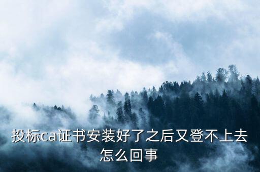 ca登陸不上是什么原因，登不上是怎么回事