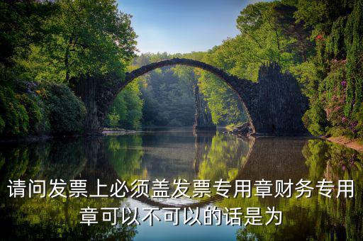 為什么要用發(fā)票專用章，請問發(fā)票上必須蓋發(fā)票專用章財務專用章可以不可以的話是為