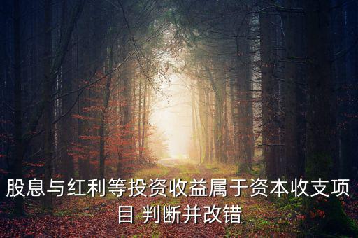 股息紅利等投資收益屬于什么，股息與紅利等投資收益屬于資本收支項(xiàng)目 判斷并改錯(cuò)