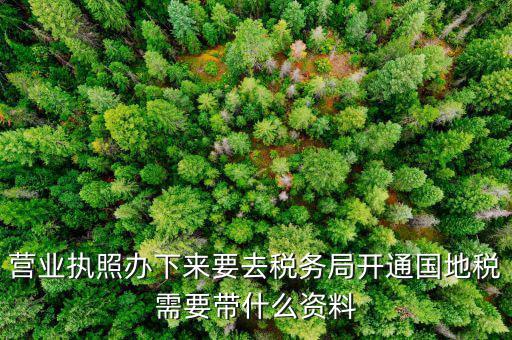 有了營業(yè)執(zhí)照要帶什么去辦稅，拿到營業(yè)執(zhí)照銀行開戶后去辦稅帶什么證件