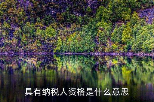單位納稅資質(zhì)是什么，具有納稅人資格是什么意思