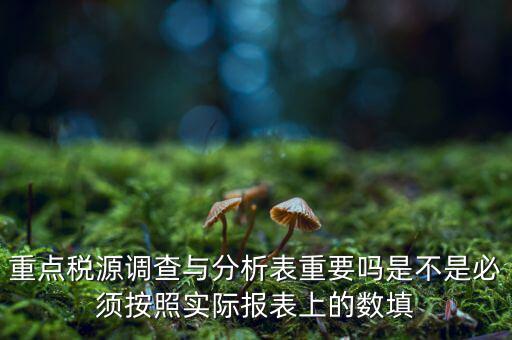 重點稅源分析分析什么，重點稅源的介紹