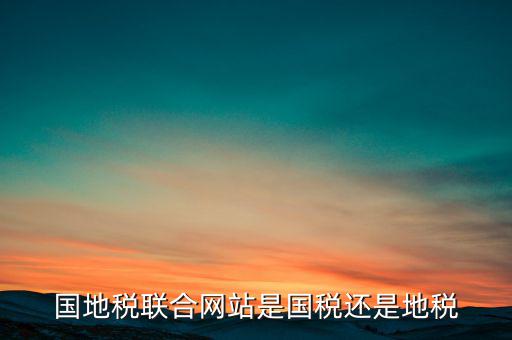 國地稅聯(lián)合辦稅是什么意思，國地稅聯(lián)合稅費申報什么意思