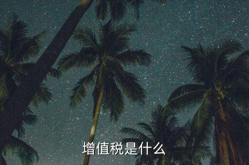 增值稅增值部分是什么，財務(wù)上增值部份是指什么如進項發(fā)票為10萬銷項發(fā)票為30萬兩項