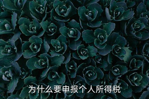 為什么要申報(bào)納稅，為什么公司老是要申報(bào)稅