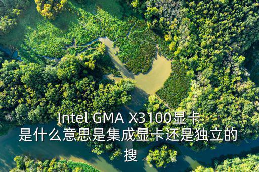 國稅集成理念是什么意思，Intel GMA X3100顯卡 是什么意思是集成顯卡還是獨立的  搜