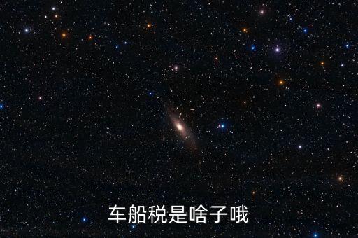 保險的車船稅是什么，車船稅是啥子哦