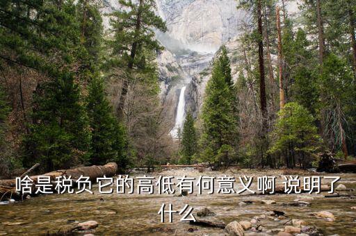 什么是稅負分析，增值稅稅負什么意思