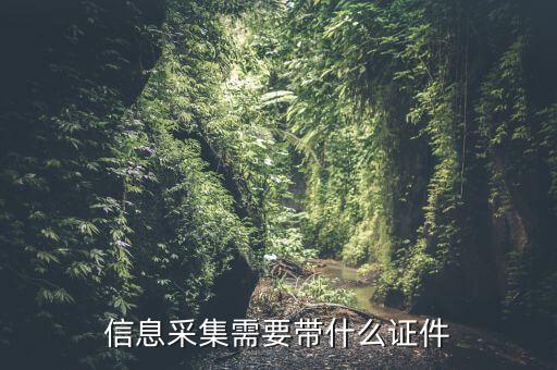 實名信息采集帶什么東西，去銀行辦理對公信息采集表需要帶哪些東西