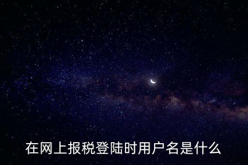 在網(wǎng)上報(bào)稅登陸時(shí)用戶名是什么