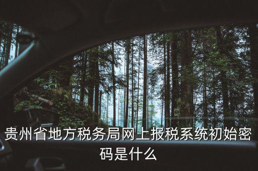 黑龍江電子稅務(wù)是什么，貴州省地方稅務(wù)局網(wǎng)上報(bào)稅系統(tǒng)初始密碼是什么