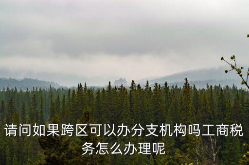 請(qǐng)問如果跨區(qū)可以辦分支機(jī)構(gòu)嗎工商稅務(wù)怎么辦理呢