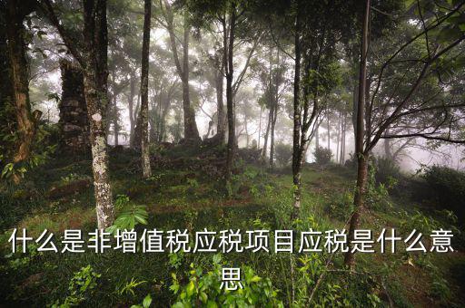 成品油應稅和非應稅是什么意思，什么是非增值稅應稅項目應稅是什么意思